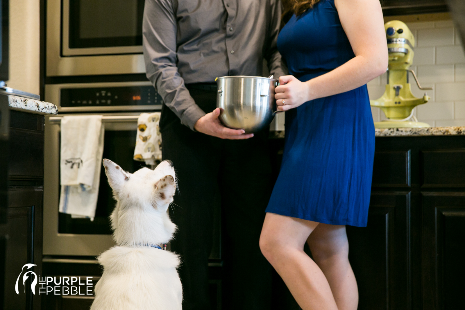 Dog in Engagement Session