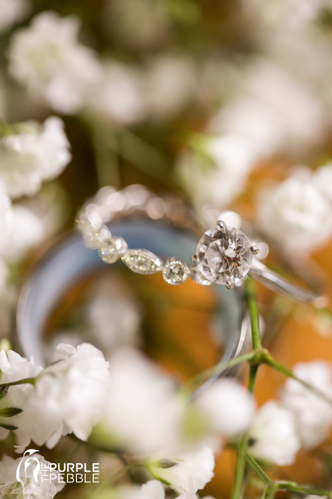 Engagement Wedding Rings