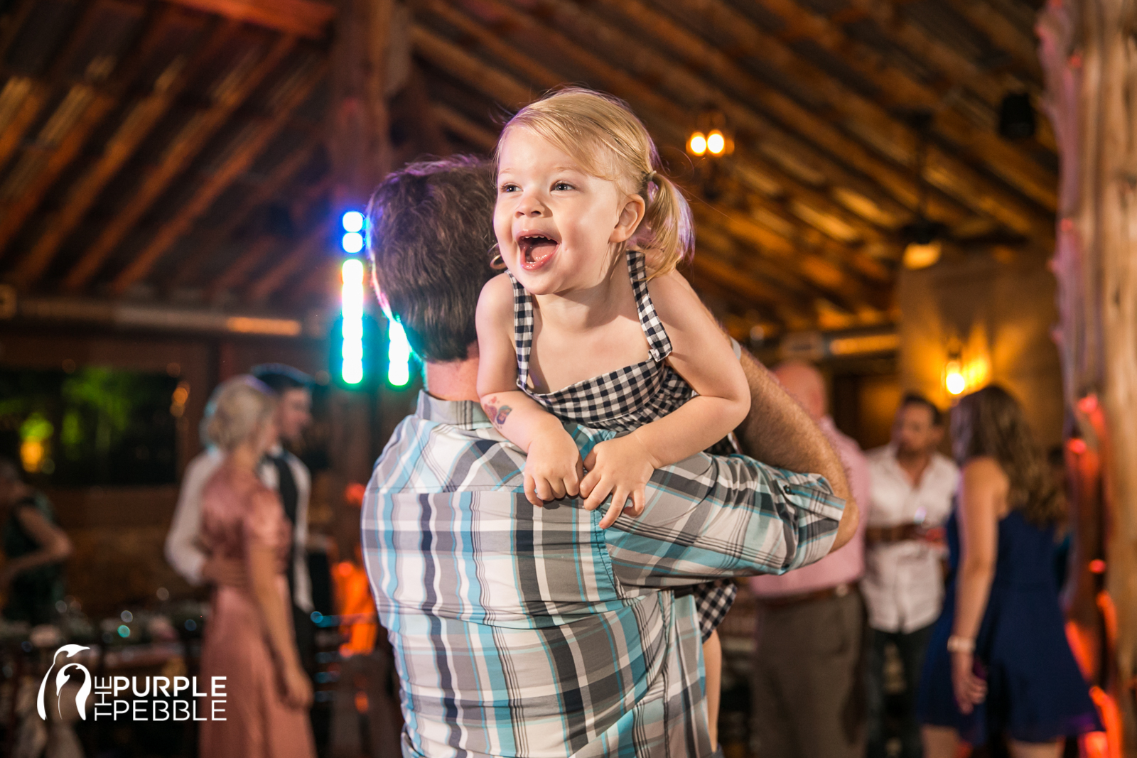 Wedding Reception Dancing