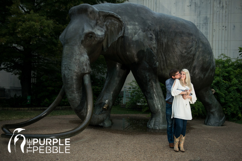 state fair engagement photography