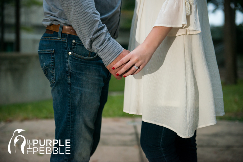 state fair engagement photography