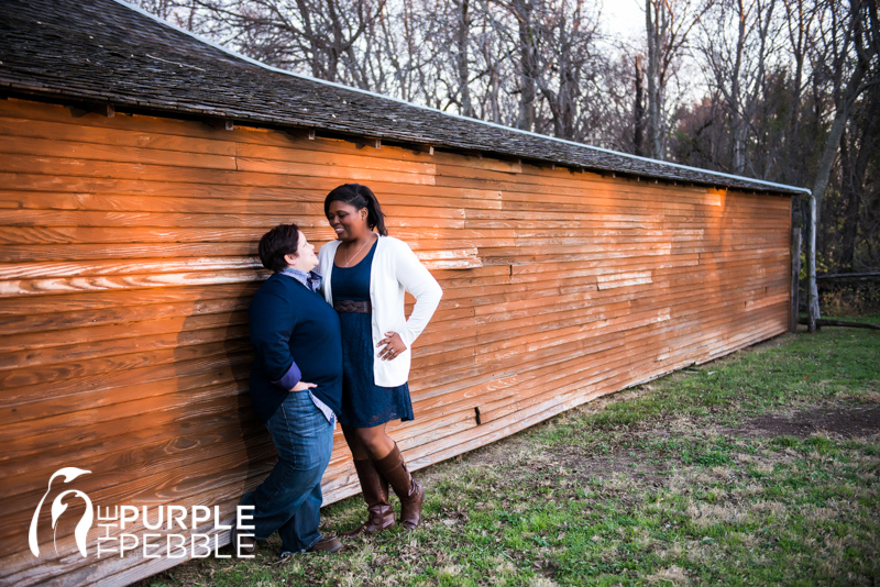 sweet romantic lesbian engagement photography ideas