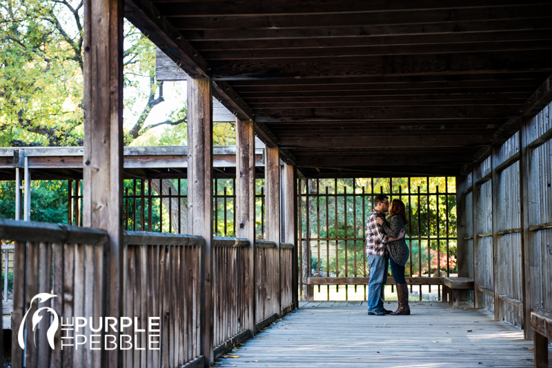 karesansui dry landscape garden engagement ideas