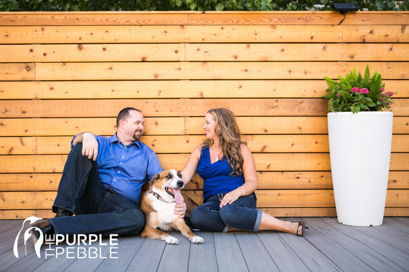 engagement photo dog fort worth