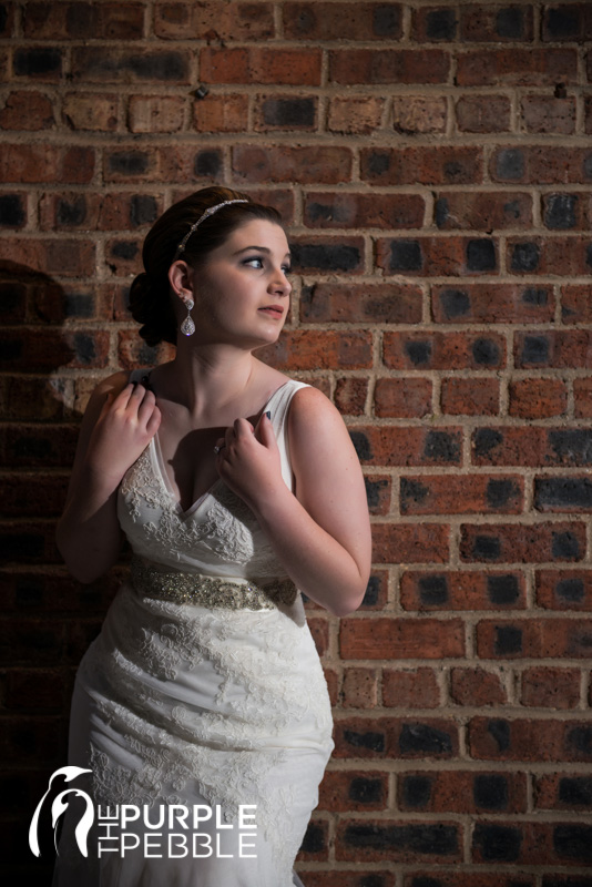 dramatic bridals brick walls