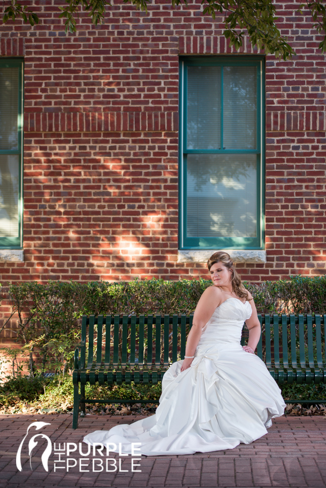 bridal portrait historic grapevine brick buildings