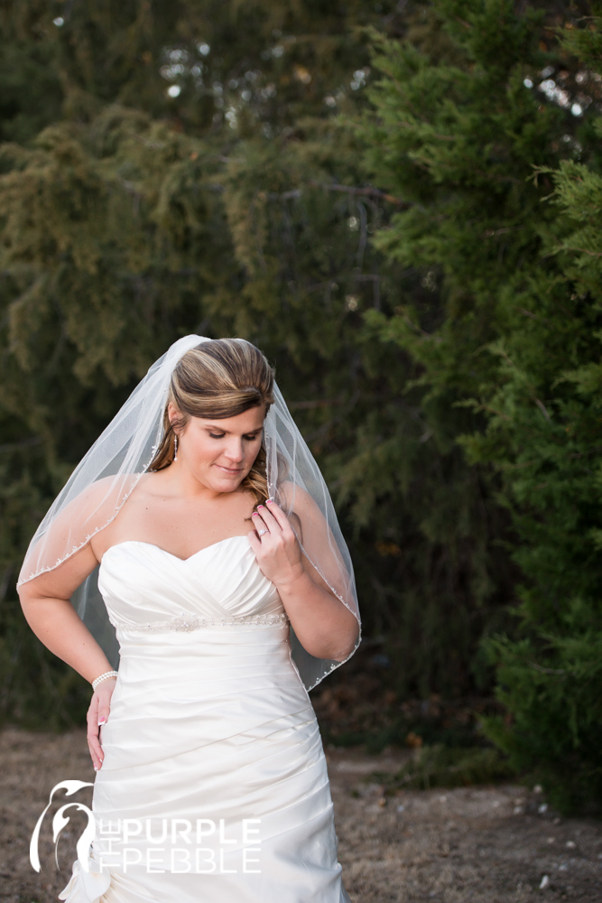 traditional bridal portrait outdoors