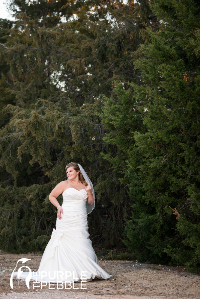 traditional bridal portrait outdoors