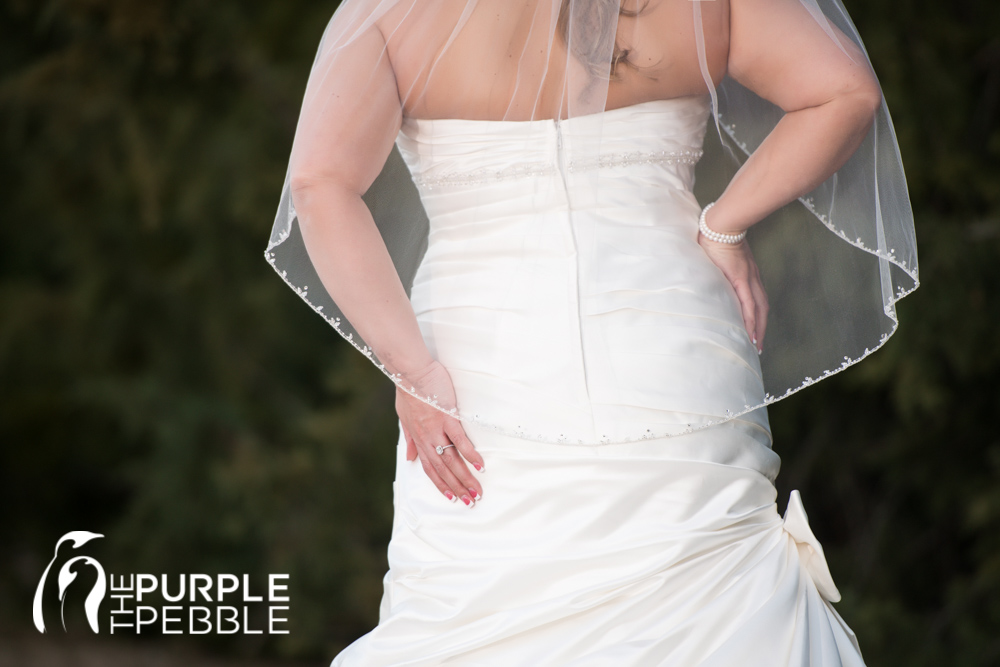 traditional bridal portrait outdoors