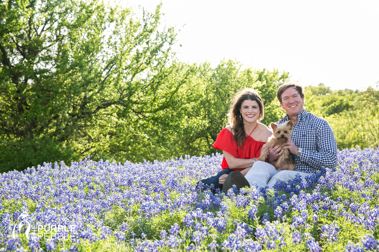 Bluebonnet Engagement Session